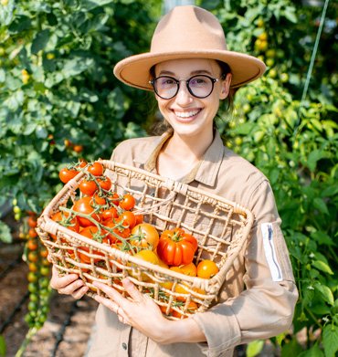 Contacta mis servicios