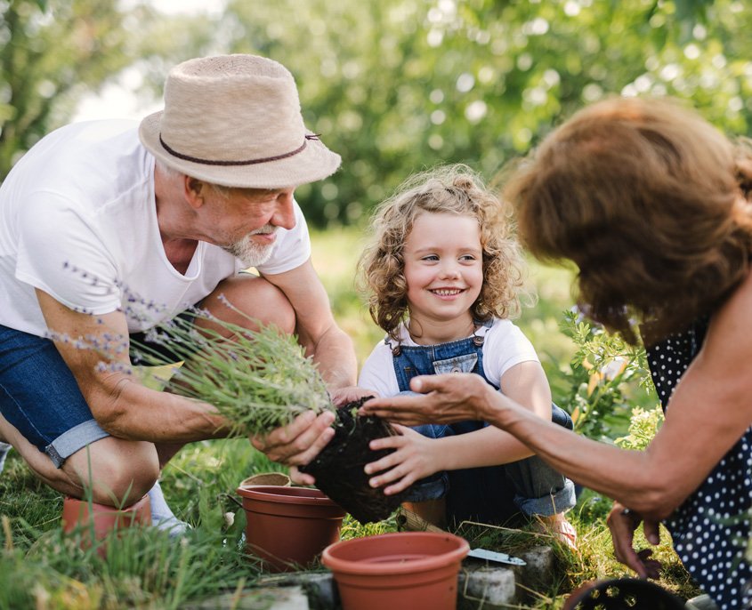 Mis servicios de agricultor en Huesca