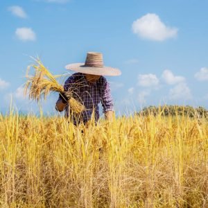 Tu agricultor de confianza en Huesca